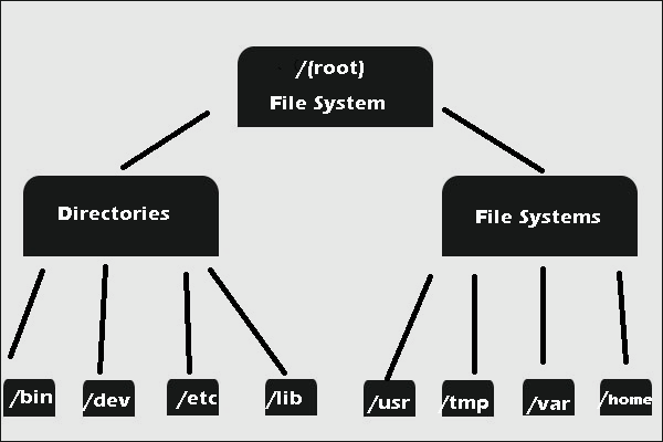 Bytefs : file system built for byte addressable file system